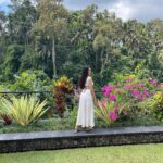 Hagda Prata Instagram - Foi maravilhoso conhecer Ubud, me senti muito conectada com a natureza, e eu não me sentia assim há muito tempo. Ubud é um lugar bem rústico e simples, mais conhecido pelas belas florestas e templos magníficos. Vale super a pena. Ficamos no hotel Viceroy Bali, que é um dos mais famosos de Ubud e tudo foi maravilhoso do início ao fim. O que eu mais indico a vocês visitarem é a Floresta dos macacos, a plantação de café e o Templo de Butuan. Em relação aos restaurantes, nós quase não comemos fora, pq os restaurantes do hotel eram incríveis e sempre comíamos lá. Os restaurantes do @viceroybali são o @cascadesbali que tem um menu que agrada a todos os gostos e o @aperitifbarbali que é um restaurante gastronômico incrível, ficamos de boca aberta com a qualidade e os sabores. E fora do hotel, o nosso preferido foi o @baleudang que serve comida típica da Indonésia e, enquanto você espera o seu prato, você pode alimentar os peixes do lago. Obrigada Ubud, espero voltar sempre 🥰🙏🏼 #bali #indonesia #ubud #viceroybali