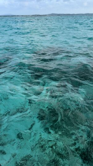 Haley Grable Instagram - I could swim in this water every day