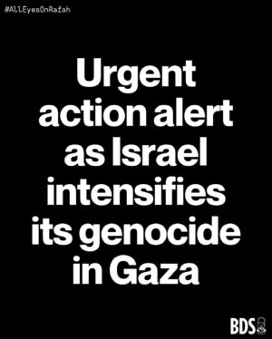 Haley Webb Instagram - via @bdsnationalcommittee | Urgent action alert #AllEyesOnRafah