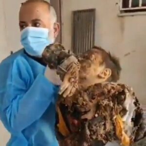 Haley Webb Instagram - “Israel” burned many children, women, and the elderly tonight in Rafah, an event that Israel knows will be nothing more than a minor fire in the eyes of world leaders. None of them will comment or pay attention, and if they do comment, the argument is ready and the understanding of the situation is present. A world without justice.