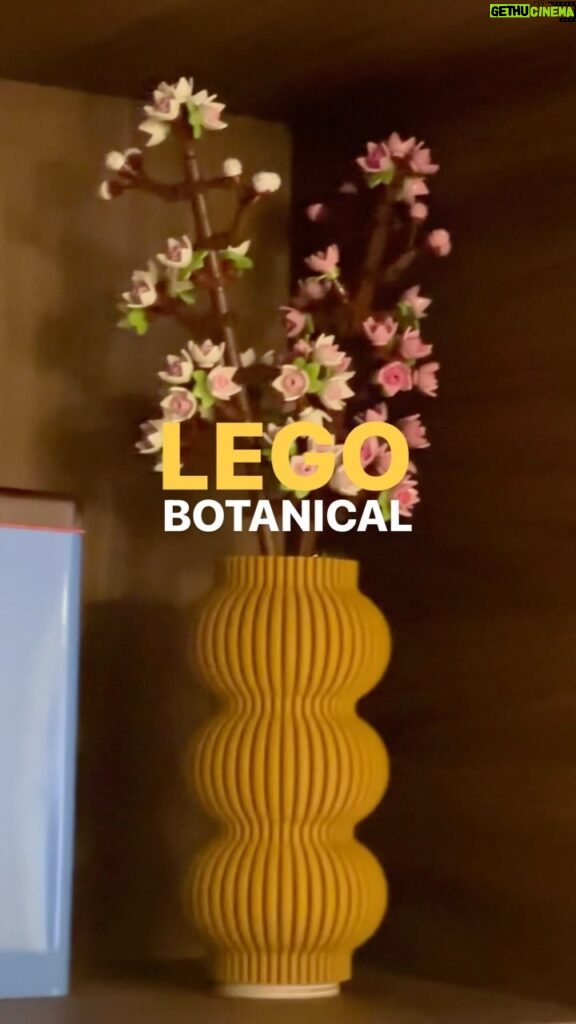 Han Bo-reum Instagram - #레고보태니컬컬렉션 #내돈내산 #보룸밍 변치 않는 아름다움을 가진 레고 보태니컬 시리즈 새로운게 나와서 바로 ! 지속가능한 인테리어로 집을 꾸며보세요