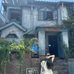 Han Chae-a Instagram - 🪴☀️