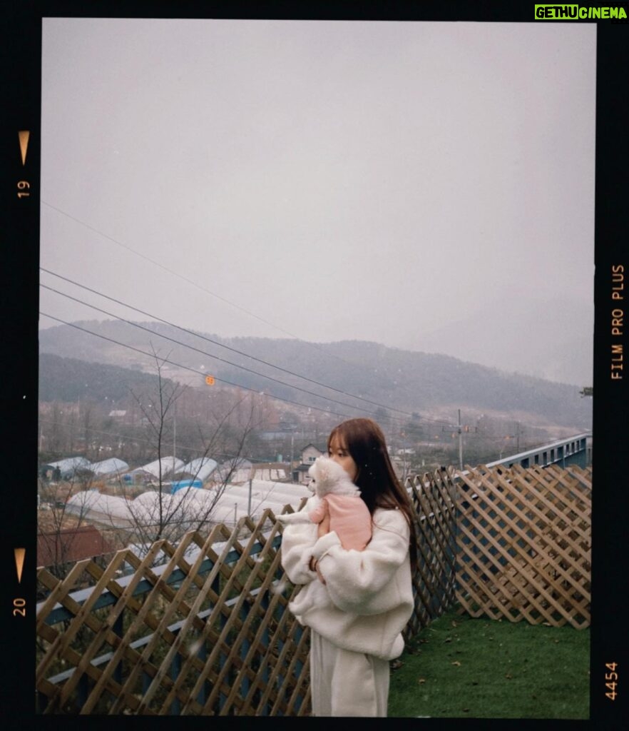 Han So-eun Instagram - 크리스마스 이브도 콩이와 함께 🐶 feat. 14년지기 나의 절친과