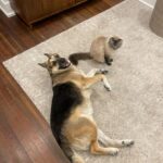 Hana Hayes Instagram - Serotonin boost for finals week