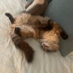 Hana Hayes Instagram - Serotonin boost for finals week