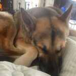 Hana Hayes Instagram - Serotonin boost for finals week