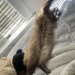 Hana Hayes Instagram - Serotonin boost for finals week