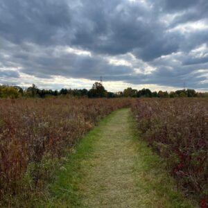 Hanako Greensmith Instagram - Just some autumnal things 🤎
