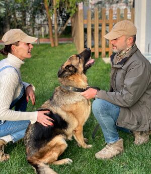 Hande Subaşı Instagram - My Boy & My Girl ❤️ #4ekimhayvanlarıkorumagünü