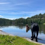 Hanna Hellquist Instagram - Hot girl/black dog summer. @evaelinak