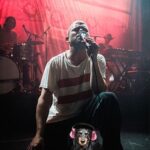 Hanna Hellquist Instagram - Jag vill rikta ett stort tack till @petrinahinas som så snabbt och rådigt löste en krånglig hund-konsert-situation.
