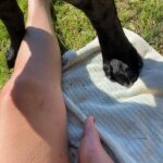 Hanna Hellquist Instagram - Hot girl/black dog summer. @evaelinak