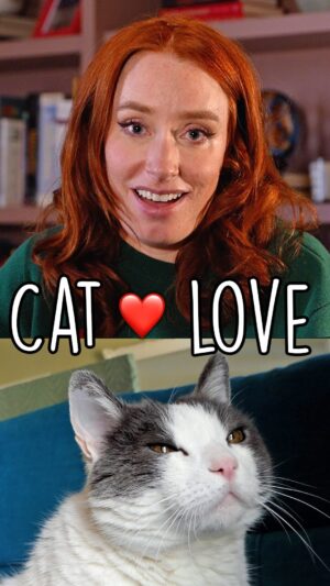 Hannah Fry Instagram - Introducing Armado the cat. Terrible actor, but very good at being aloof and superior on cue 😻
 
For more information, take a look at these studies:

The quality of being sociable: The influence of human attentional state, population, and human familiarity on domestic cat sociability, by Kristyn Vitale and Monique Udell (2019)

The role of cat eye narrowing movements in cat–human communication, by T. Humphrey, L. Proops, J. Forman, R. Spooner, and K. McComb (2020)