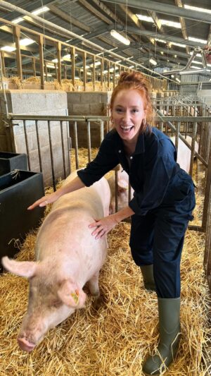 Hannah Fry Instagram - Behind the scenes of piglet production 🐽🌾

(Don’t ask me what happened to the colour on this one I was having a bad day 🙈)
#pigs #science #hannahfry #farming