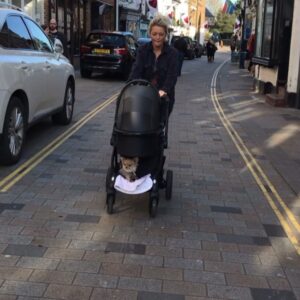 Hannah Spearritt Instagram - Afternoon #walk with the #girls spot the additional passenger! 🦊😜 @lolzthechihuahua loving life on board the @eggstrolleruk #happyvalentinesday everyone ❤️❤️❤️👋😘 #baby #dogsofinstagram #twickenham #churchstreettwickenham #newmum #boomerang #videooftheday