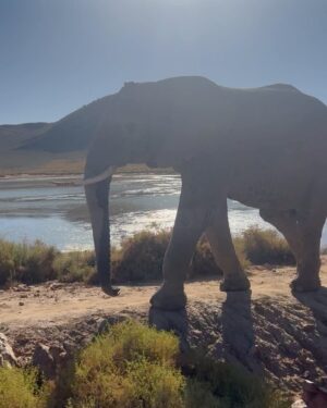 Hannah Elizabeth Instagram - South Africa 🐘i will be forever grateful for the special memories made here with besties for life ❤️🌴 thank you @itvxofficial @loveisland ✨🥺🫶