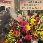 Harami-chan Instagram - サントリーホール東京初日に素敵なお花ありがとうございます！！✨✨💐 いつもお米さんや関係者様の愛のこもっててクリエイティブなフラスタに感動しっぱなし😭😭😭😭 全部持って帰りたい.... #ハラミちゃん生音コンサート #ハラミちゃん5周年ツアー #サントリーホール - - - - - - - - - - - - - - - - - ✄ 5月から全国ツアーやるぬーー‼️🎹✨ ハラミ史上初‼️ サントリーホール等のクラシックホールにて ／ スピーカーなし 全　曲　生　音 ＼ 憧れのクラシックホール😭✨ 🎫チケット発売中🔥🔥 イープラス eplus.jp/harami/ mu-mo r.y-tickets.jp/haramichan2402 ぴあ w.pia.jp/t/harami/ ﾛｰﾁｹ l-tike.com/harami/ 【🔍生音コンサート　チケット ハラミちゃん】 - - - - - - - - - - - - - - - - - ✄ 【公演情報】 〈大阪〉 日程：2024年6月2日(日)　　開場 15:00 開演16:00 会場：ザ・シンフォニーホール 〈愛知〉 日程：2024年6月8日(土)　　開場 15:00 開演16:00 会場：名古屋国際会議場センチュリーホール 〈石川〉　日程：2024年6月23日(日)　　開場 15:00 開演16:00 会場：石川県立音楽堂　コンサートホール 〈香川〉　日程：2024年7月13日(土)　　開場 15:00 開演16:00 会場：サンポートホール高松 大ホール 〈北海道〉　日時：2024年7月15日(月祝)　　開場 15:00 開演16:00 会場：札幌文化芸術劇場hitaru 〈静岡〉　日程：2024年8月11日(日)　　開場 15:00 開演16:00 会場：三島市民文化会館 ゆうゆうホール 〈広島〉　日程：2024年9月8日(日)　　開場 15:00 開演16:00 会場：広島国際会議場 フェニックスホール and more…!! - - - - - - - - - - - - - - - - - ✄