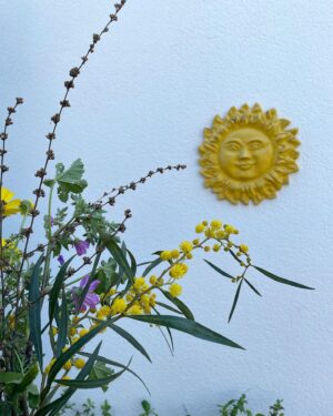 Hare Sürel Instagram - 🪸🌞☮️🌿🌸