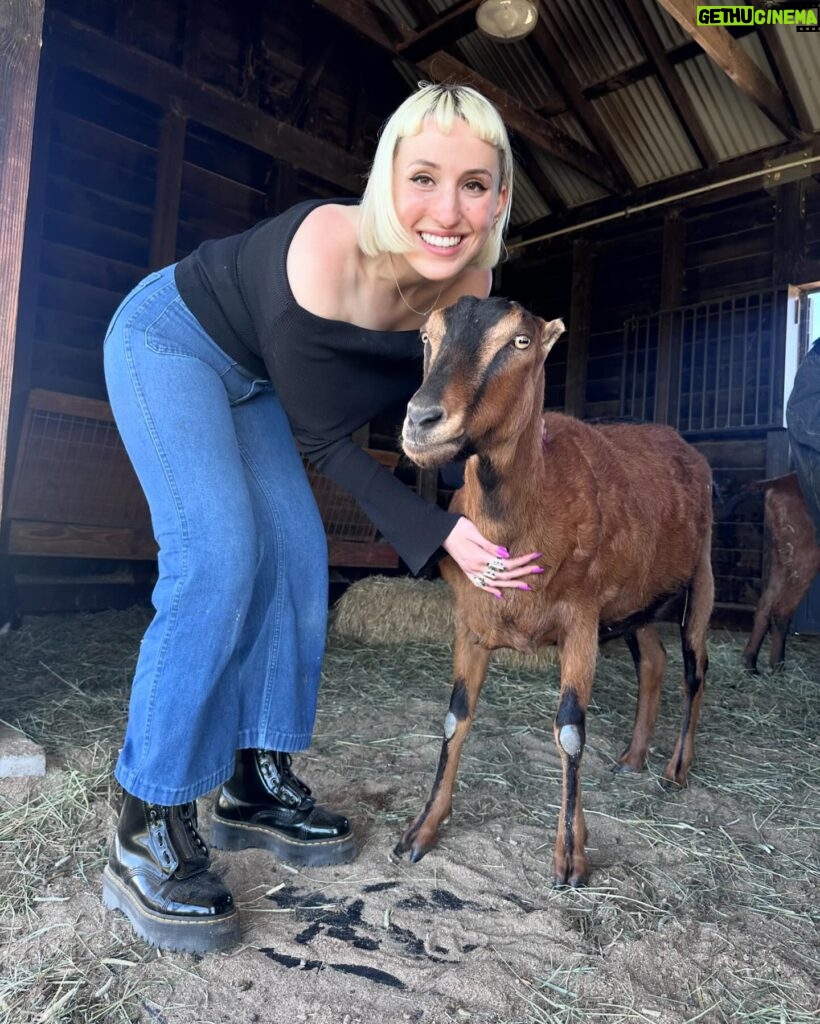 Harley Quinn Smith Instagram - Sonoma ❤️‍🔥🍷🕊️🐷🦩 part one of a dreamy vegan vacation 🎀