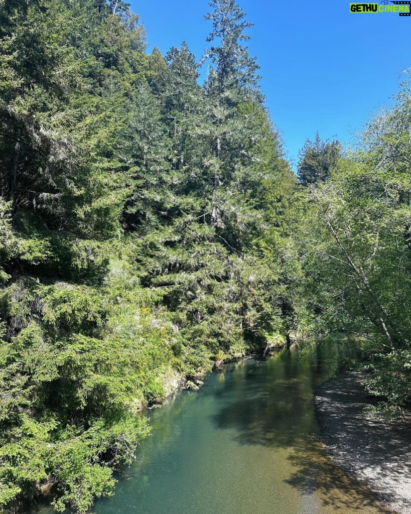 Harley Quinn Smith Instagram - Mendocino! 🦭💐🌊🦌 part two of a dreamy vegan vacation 💝