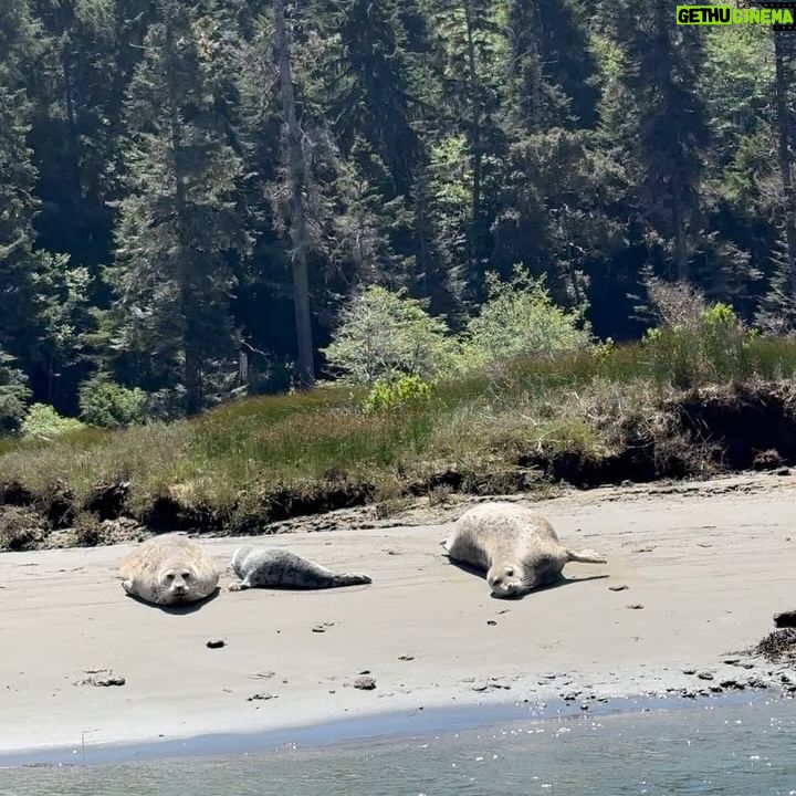 Harley Quinn Smith Instagram - Mendocino! 🦭💐🌊🦌 part two of a dreamy vegan vacation 💝