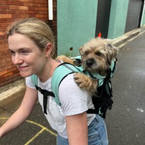 Harriet Dyer Instagram - To celebrate the release of Colin From Accounts in the UK on BBC and on @bbciplayer today, let’s hear it for the boy(s) himself. 
Zac and Buster, the incredible little dudes who played the titular role of Colin. 
Stars need their rest though so sometimes we had to use a stand in and if you look closely, sometimes that stand in is a towel named Terry wrapped up in a belt. 
Special shout out to Kirstin Feddersen from Kirsko Film Animals for her training and expertise. 
They say not to work with children or animals, well, Zac and Buster were the most professional actors on our set. Only issue is they set a precedent for needing turkey jerky after every take when they did a good job and nek minit patty was requesting the same. Embarrassing. 
Hooray for BBC! Tonight 10pm BBC2 for the first episode or all episodes dropped on @bbciplayer 
🇬🇧🇬🇧🇬🇧🇬🇧🇬🇧🇬🇧🇬🇧🇬🇧🇬🇧🇬🇧