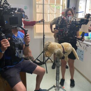 Harriet Dyer Instagram - To celebrate the release of Colin From Accounts in the UK on BBC and on @bbciplayer today, let’s hear it for the boy(s) himself. 
Zac and Buster, the incredible little dudes who played the titular role of Colin. 
Stars need their rest though so sometimes we had to use a stand in and if you look closely, sometimes that stand in is a towel named Terry wrapped up in a belt. 
Special shout out to Kirstin Feddersen from Kirsko Film Animals for her training and expertise. 
They say not to work with children or animals, well, Zac and Buster were the most professional actors on our set. Only issue is they set a precedent for needing turkey jerky after every take when they did a good job and nek minit patty was requesting the same. Embarrassing. 
Hooray for BBC! Tonight 10pm BBC2 for the first episode or all episodes dropped on @bbciplayer 
🇬🇧🇬🇧🇬🇧🇬🇧🇬🇧🇬🇧🇬🇧🇬🇧🇬🇧🇬🇧