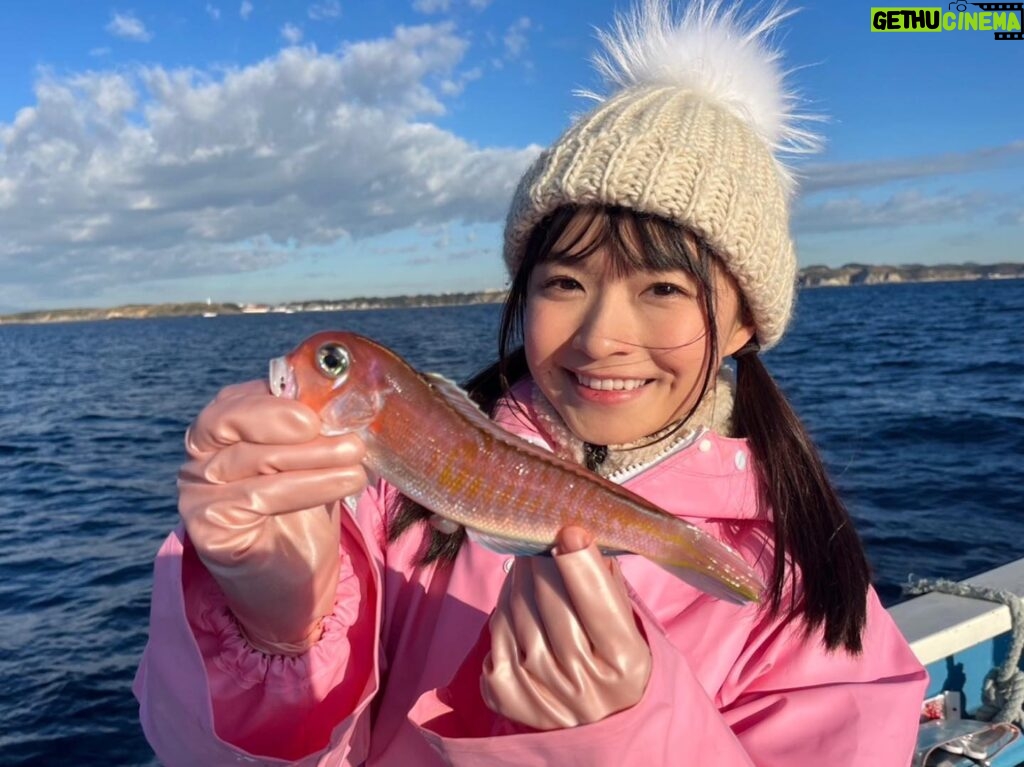 Haruka Momokawa Instagram - 昨日は、サンスポのロケでアマダイ釣りにえいあん丸さんに行ってきました〜🎣❤️ 2024年の釣り初めでした！！！！！！ ちょっと小さめだったけど初アマダイGet✊ 新年早々にめで鯛できてよかったです😚😚😚 1月11日の記事お楽しみに❤️カラーだって❤️ #サンスポ #釣り #釣りガール #三崎港 #えいあん丸 #アマダイ #甘鯛 #japanesegirl #fish