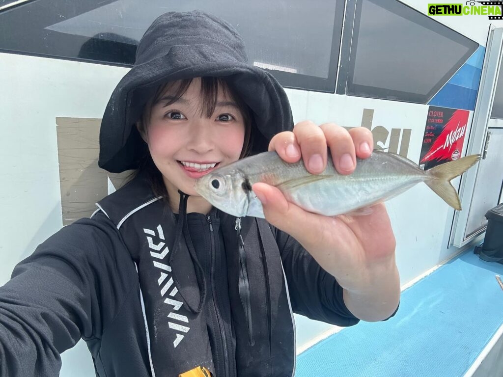 Haruka Momokawa Instagram - 今日は蒲谷丸さんに仕立てでアジ釣りに行ってきました🎣 友達とかみんなで行く釣り楽しいいいい〜✊❤️ いっぱい釣られてくれて感謝です！！！！！！！ でも、もっと釣りたいからまた行くの🤭❤️ 美味しそうなアジたくさん釣れて大満足🤭🤭 #蒲谷丸 #サンスポ #金沢八景 #釣り #アジ #アジ釣り #仕立て #釣りガール #釣り好きと繋がりたい #釣り好き #japanesegirl #idol