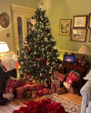Hayley Erin Instagram - Happy Christmas 🎄