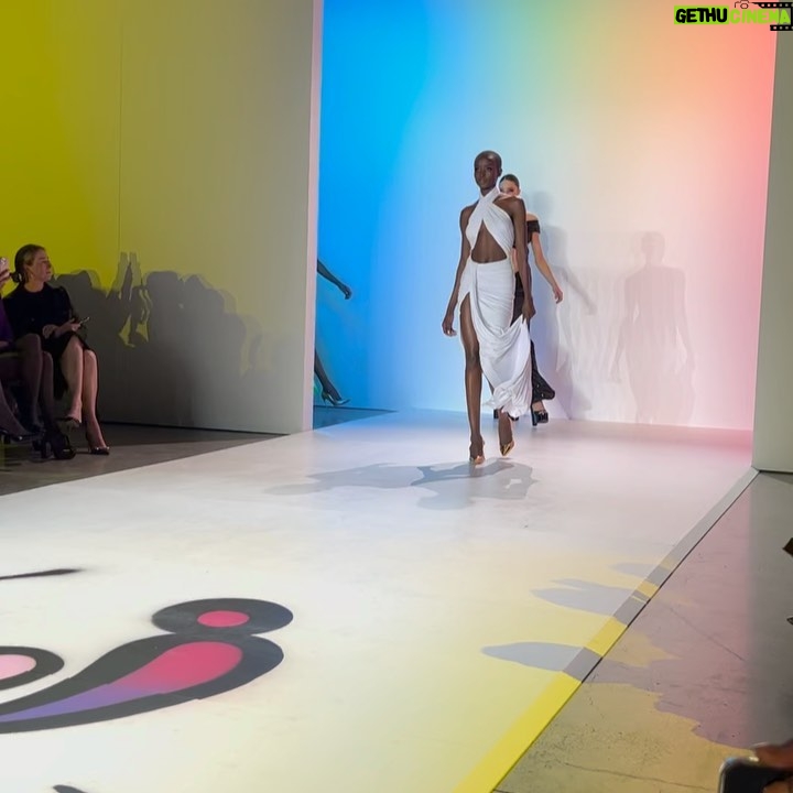 Hazel Renee Instagram - Had The Pleasure Of Attending The @sergiohudson Show During NEW YORK FASHION WEEK! Thank You So Much For Having Me❤️ @sergiohudson @davonkennard and @ingabeckham FIRE COLLECTION #NYFW #SergioHudson #Fashion Dressed In: @sergiohudson Collection10 MUA: @natasha.brooks.mua Shooter 📸: @alrdysuccessful My Ridahhh: @alainataughtyou