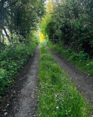 Heather Matarazzo Instagram - This weekend: The bay of Sligo, lanes, dominos, cats, more cats and a little death…(Knock, knock) 

On train back to Dublin with a heart that has gotten to break open more than I ever could have anticipated. 

Many tears of gratitude were shed and some tears of grief. 

All tears centered around the Love I get to experience and receive. 
#ireland