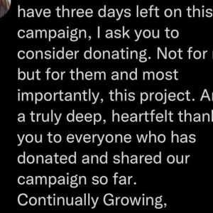 Heather Matarazzo Instagram - Learning about vulnerability is, well, vulnerable. Thankful for the lesson. Thankful for my wife. Thankful for my community. Link is in bio ❤️❤️❤️❤️
#vulnerability #crowdfunding #indiefilm #horrorfilm #thegreenribbon #community
