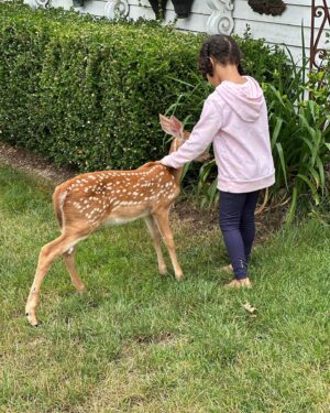 Heather Headley Instagram - My in-loves live in the countryside. Every few years, a fawn gets abandoned, and my sweet Father-in-love takes over and raises it until its ready to be sent back to the woods. This year, they have these two.  And with the treatment, care, and love they’re getting, they may never leave this family. 
I wouldn’t. 
Actually…I haven’t 😄!

#happymonday #deer #countrylife