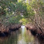Heather Headley Instagram - One thing I learned on the watery streets of the #everglades: it may #dangerous. #scary. #unforgiving. Filled with some creatures you don’t ever want to meet up close. But even with all that, there’s an undeniable beauty hidden in there that makes you feel blessed to witness it!