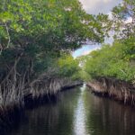 Heather Headley Instagram - One thing I learned on the watery streets of the #everglades: it may #dangerous. #scary. #unforgiving. Filled with some creatures you don’t ever want to meet up close. But even with all that, there’s an undeniable beauty hidden in there that makes you feel blessed to witness it!