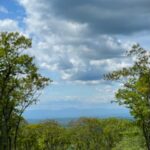Heather Thomson Instagram - …head in the clouds #scrambelin #hikingadventures #hudsonvalley #hikingwithdogs #moutaintimeisthebesttime #✌🏼 #berkshirehills #hometown