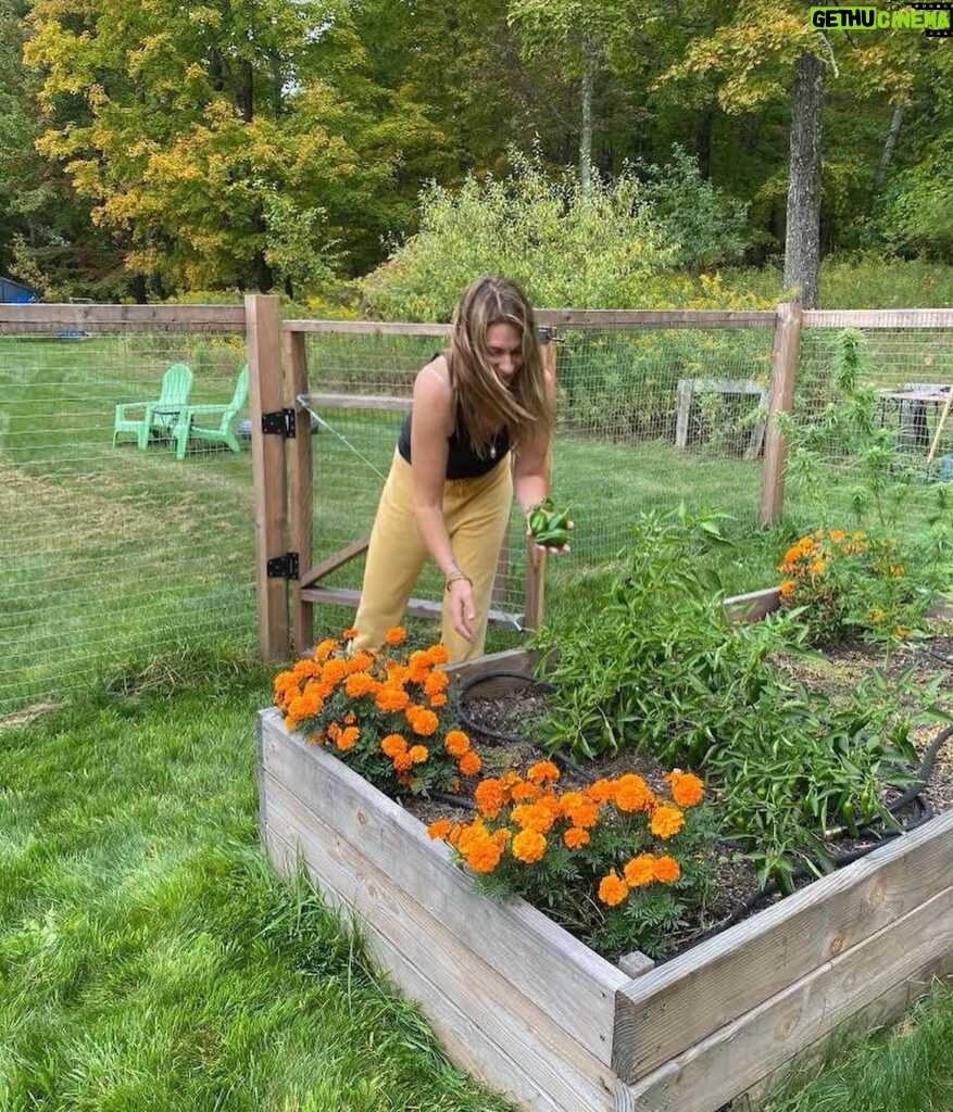 Heather Thomson Instagram - How does your garden grow? An herb garden on your window sill or a bigger undertaking… just some reminders of the health benefits of gardening! —Gardening can build self-esteem! …It always feels good to accomplish new tasks, and after tilling, planting, nurturing and harvesting plants, what can’t you do? —Gardening is good for your heart! …All that digging, planting and weeding burns calories and strengthens your heart. —Gardening can make you happy! …Getting dirt under your nails while digging in the ground feels good! Healthy bacteria that lives in soil, can increase levels of serotonin and reduce anxiety. —Growing your own food helps you eat healthier! …If you have a vegetable or herb or fruit garden, you’re getting antioxidant, phytonutrient, fresh produce that’s as farm-to-table as it gets! —Gardening reduces stress & feelings of depression. …Gardening gives you a chance to focus on something and put your mind to work with a goal and a task —to see things growing and things thriving! —Gardening can give you a boost of vitamin D! …Exposure to sunlight means vitamin D which increases your calcium levels, which benefits your bones and immune system. —Gardening can improve your strength! …All that digging, planting and pulling does more than produce plants, it will also will increase your strength and stamina. —Gardening is good solo or with the whole family! …The happiness and stress relief that gardening provides is a great thing to give to yourself and share with loved ones. 💛 .. Not able to get enough fruits and vegetables head to Beyond Fresh.com and check out our organic, plant-based, superfood products to supplement any diet deliciously! #gardening #gardeninspiration #gardenbenefits #eatmoreplants #fruitsandveggies #beyondfresh #healthandwellbeing #informedwomanmonth