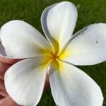 Helen Hunt Instagram - WE CAN HELP One Native Hawaiian resident equated the devastation in Lahaina Town to losing a family member, an Elder. People are gone forever and many places too. And….LahainaStrong is a saying for a reason. The people of Lahaina Town and the surrounding areas will never get what they had back but they will rebuild. In the meantime, there needs to be diapers and food on the table and shelter for so many. WE. CAN.  HELP. In my bio are links to the following organizations (scroll down) that I know will be helpful. In this case, $10 dollars really does matter. It’s a package of diapers. Please give what you can and a tiny bit more. People are in deep need right now. Re-posting helps but DONATING is the thing.   Mahalo nui loa Council for Native Hawaiian Advancement: @hawaiiancouncil In partnership with Alaka’ina Foundation Family of Companies and Kako’o, CNHA is MATCHING up to $100,000 in community donations for families impacted by the wildfires on Maui. Maui Food Bank: I know first-hand @mauifoodbank has reliably collected and distributed food in Maui to those in need. They partner with Maui VOAD and the Feeding America Food Bank Network. The Salvation Army: The Salvation Army is actively providing food and resources to evacuees affected by the Hawaii wildfires. @salvationarmyus American Red Cross of Hawaii: The Red Cross is offering shelter, comfort and assistance to those affected. @hawaiiredcross Maui Humane Society: Humans and animals are displaced. They urgently need support. @mauihumanesociety GO FUND ME: @slatertrout grew up on Maui’s Westside.  He and his family are dear to me. Many of his friends and family have lost their home. He is boots-on-the-ground. Slater is committed to raising money to distribute directly to his neighbors. He promises (and I have no doubt) to “…do my best to divide the funds evenly among the families most affected.” 🙏🏽🌈❤️