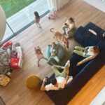 Helen Lindes Instagram - ¡¡¡Feliz día de Reyes!!! 👑👑👑Recap de unas Navidades maravillosas… 💙🎄❤️❄️ #family #friends #dogs #christmastime