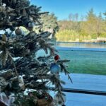 Helen Lindes Instagram - Mañana de Navidad… ilusión, familia, cariño… y recordando a los que ya no están o que están lejos. 💙 ¡¡Feliz Navidad a todos!! #merrychristmas #diadenavidad