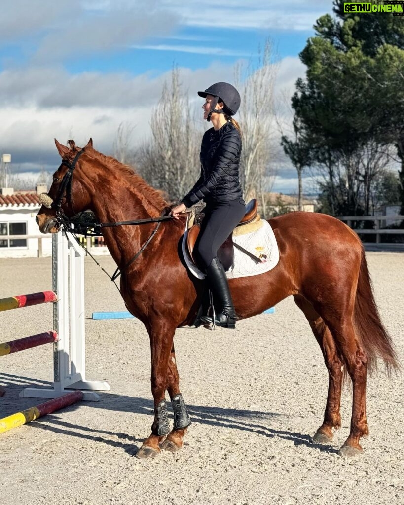 Helen Lindes Instagram - Vuelta al ruedo… después de 4 semanitas sin montar!! Que ganas tenía. Ahora si, las agujetas de mañana serán muy divertidas 😅😅 #horseriding #horseinstagram #equitacion #madrid