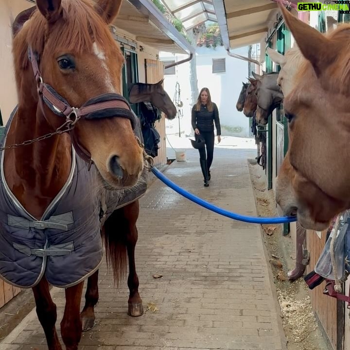 Helen Lindes Instagram - Vuelta al ruedo… después de 4 semanitas sin montar!! Que ganas tenía. Ahora si, las agujetas de mañana serán muy divertidas 😅😅 #horseriding #horseinstagram #equitacion #madrid