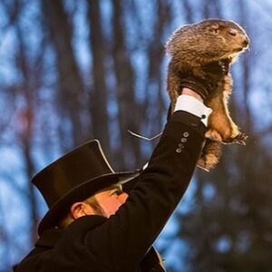 Helena Howard Instagram - Poor Punxsutawney Phil. 
I mean look at him, does that look like he’s frickin pleased to have been awakened at the crack of dawn by a crowd of loud ass Pennsylvanians??lol
Each year is Groundhog’s Day for this fella. Repeating the same ritual over and over. Appeasing the masses just so that we can “celebrate” some day out of the year that was created by some men… for what? Why? Is it to keep people hooked on a strange belief-meanwhile this Groundhog is JUST a groundhog and doesn’t want anything to do with this crazy shit and wishes all this shite would end….oh how the insanity keeps us hooked. 
What a strange loop. 
Did Punxsutawney Phill REALLY predict 6 more weeks of winter OR is this all a lie? 
You decide-
What is fact
What is fiction 
What is true 
What is not 
What is realiety 
A happy Groundhog’s Day 2 U
Do U wish 2 continue in the loop OR does the cycle end? 
The choice is URs.