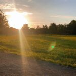 Helga Krapf Instagram - I’ve got the strangest feeling…💫 Had a really nice morning walk yesterday, I stopped to turn my face towards the morning sun and just took my sweet time to be thankful for both the good and the bad. Honestly, it was nothing special, it was just the sunrise in our neighborhood but I think its learning and having the ability to be thankful for those short, quiet, and serene moments is when all of the magic happens inside of us. 🌅 Here’s your reminder to find and stop for these small pockets of sunshine throughout your day. Love and light. ✨ #Glimmers #Stoicism #Gratitude #sundaythoughts PS This song has been on repeat all day since yesterday so just in case, sorry for the LSS. 🙈 ✌🏻