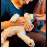 Hema Dayal Instagram - My dream one...🥺🥰🤩❤️ @iamnyke cutie....😘 Sweet chellam 😘❤️ . #hemadayal18 #iamnyke #hemadayal #hema #dogslover #explore #explorepage