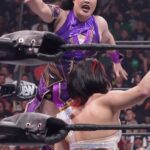Hikaru Shida Instagram - This week on #AEWDynamite, it was teacher vs student when @emisakura_gtmv challenged #AEW Women’s World Champion @shidahikaru in an epic match!