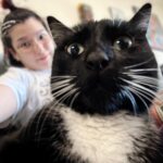 Hikaru Shida Instagram - Chiiiiill 🐈‍⬛✨ #hikarushida #lifewithcats #猫のいる暮らし