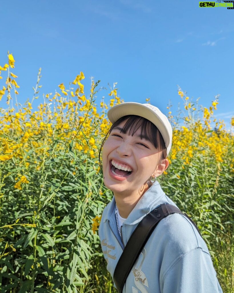 Hiroe Igeta Instagram - すっごく晴れてたので ドライブした日🌼