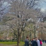 Hong Ji-yoon Instagram - Spring in newyorkcity 🍅